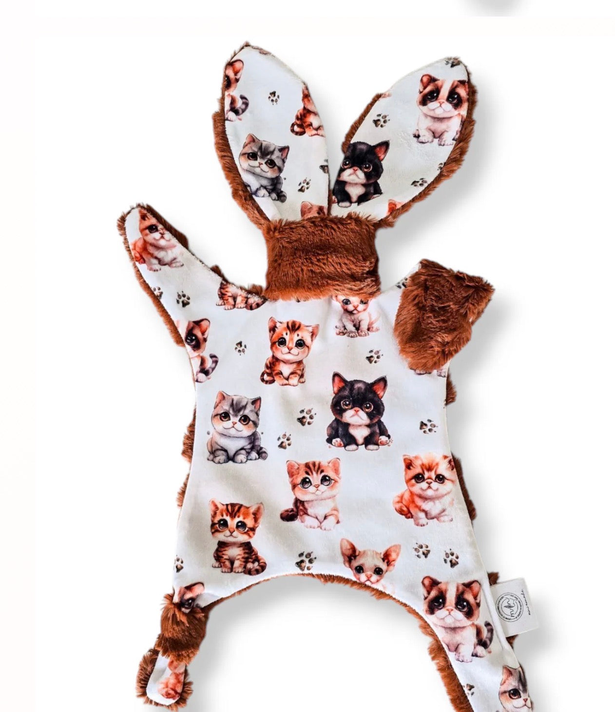 Doudou Lapidou| Chaton