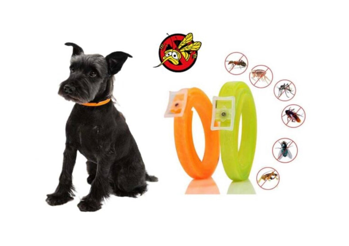 Colliers à chien Anti-moustique