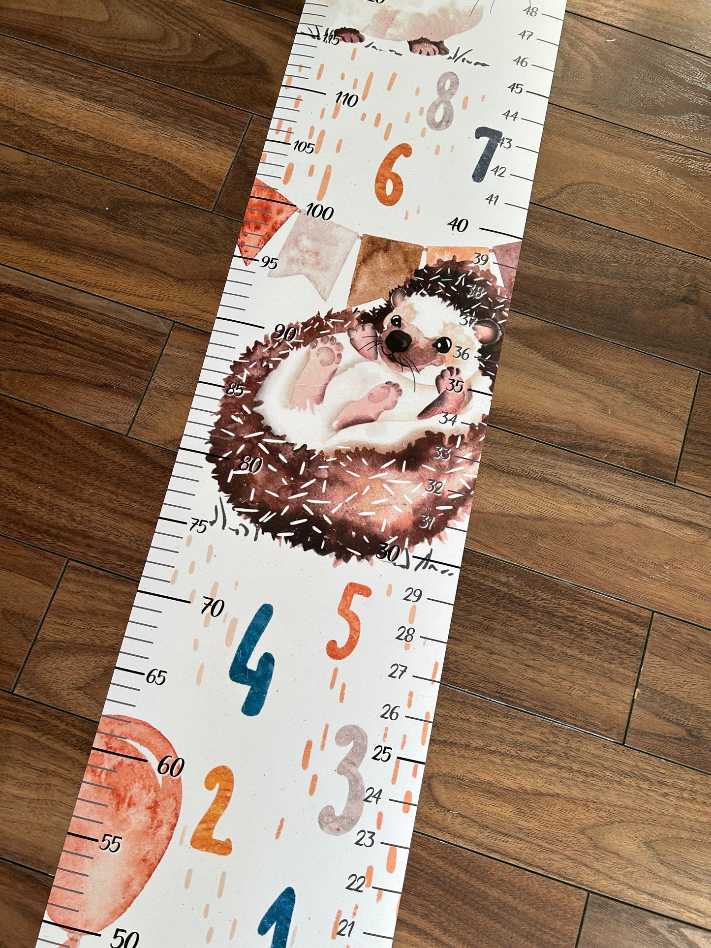 Échelle de croissance -Herisson