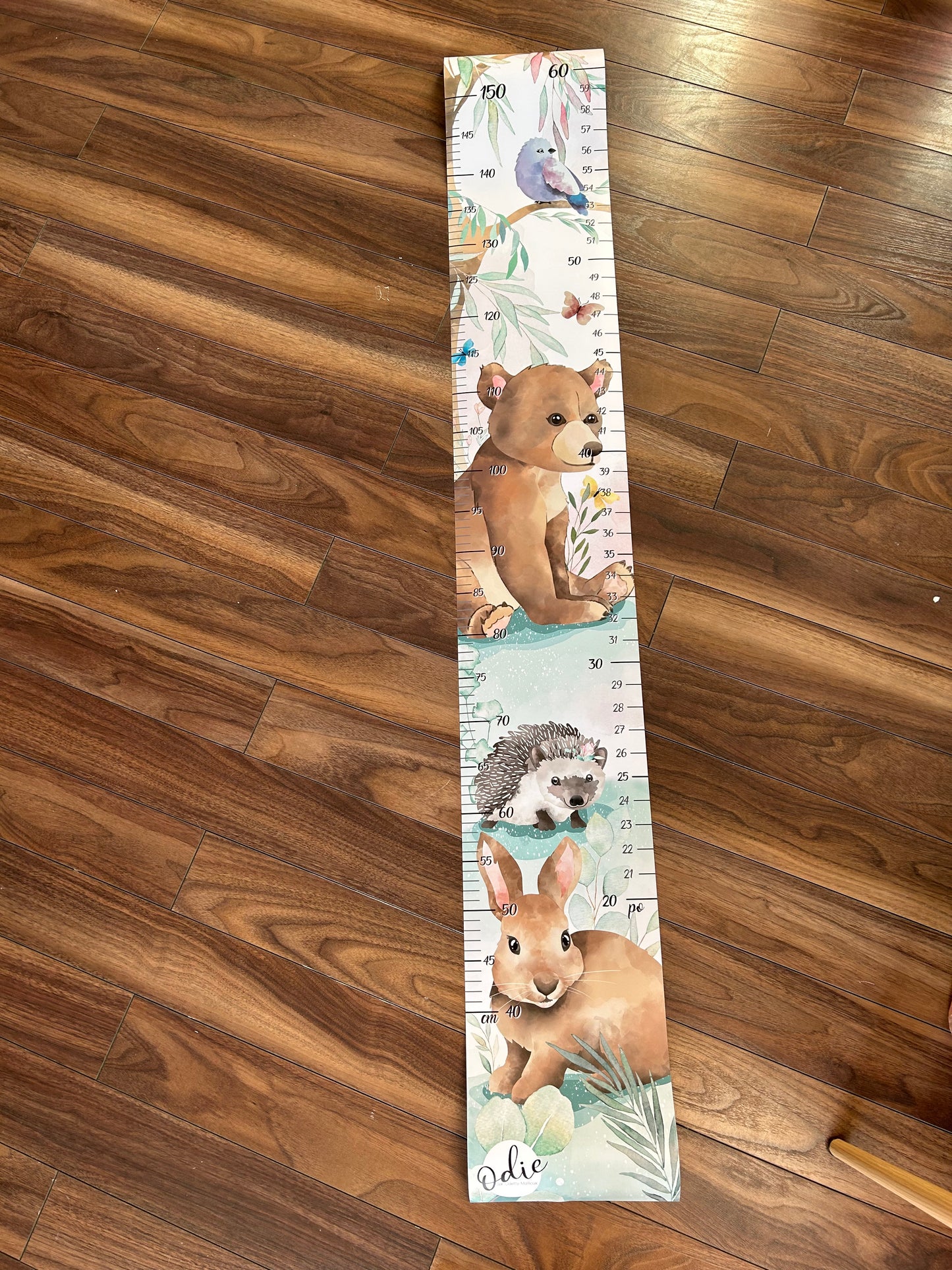 Échelle de croissance - Animaux