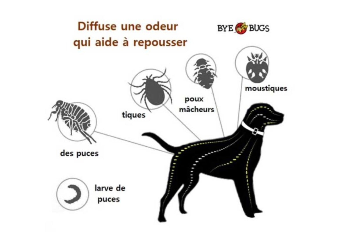 Colliers à chien Anti-moustique