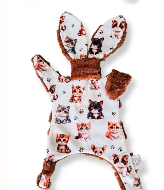 Doudou Lapidou| Chaton