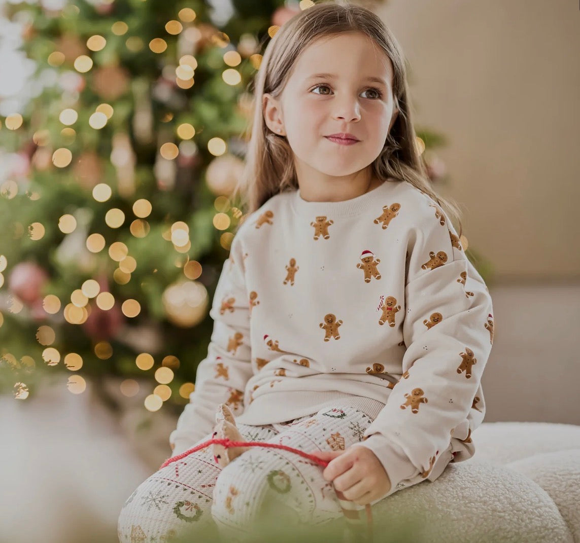 Chandail de Noël| petit lem