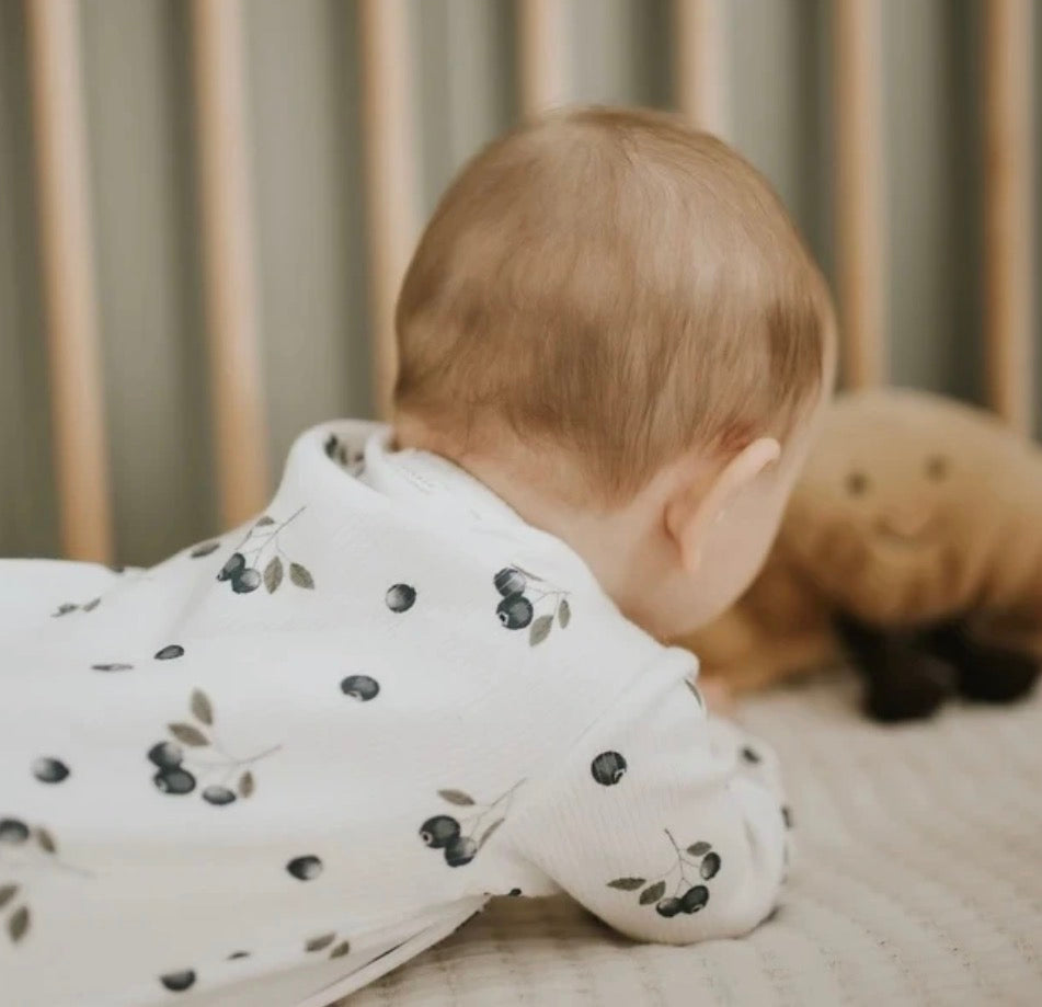 Pyjama petit lem | Bleuets